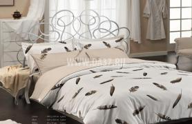    PLUMES     ,    .     . 